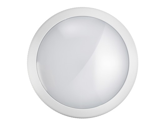 TF032-FOG-20W-IP66-IK10-WHI...